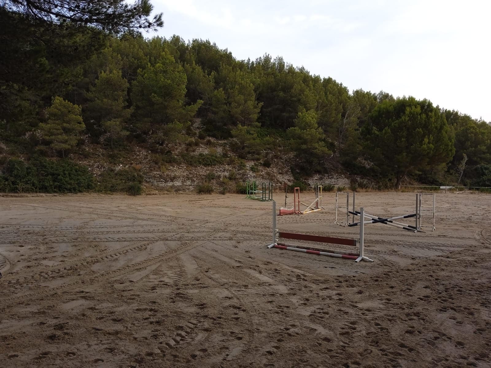 Cours d'équitation